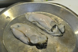 材料牡蠣